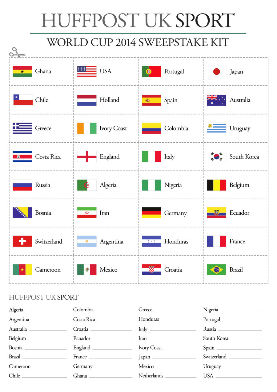 World Cup 2014 Sweepstake Kit