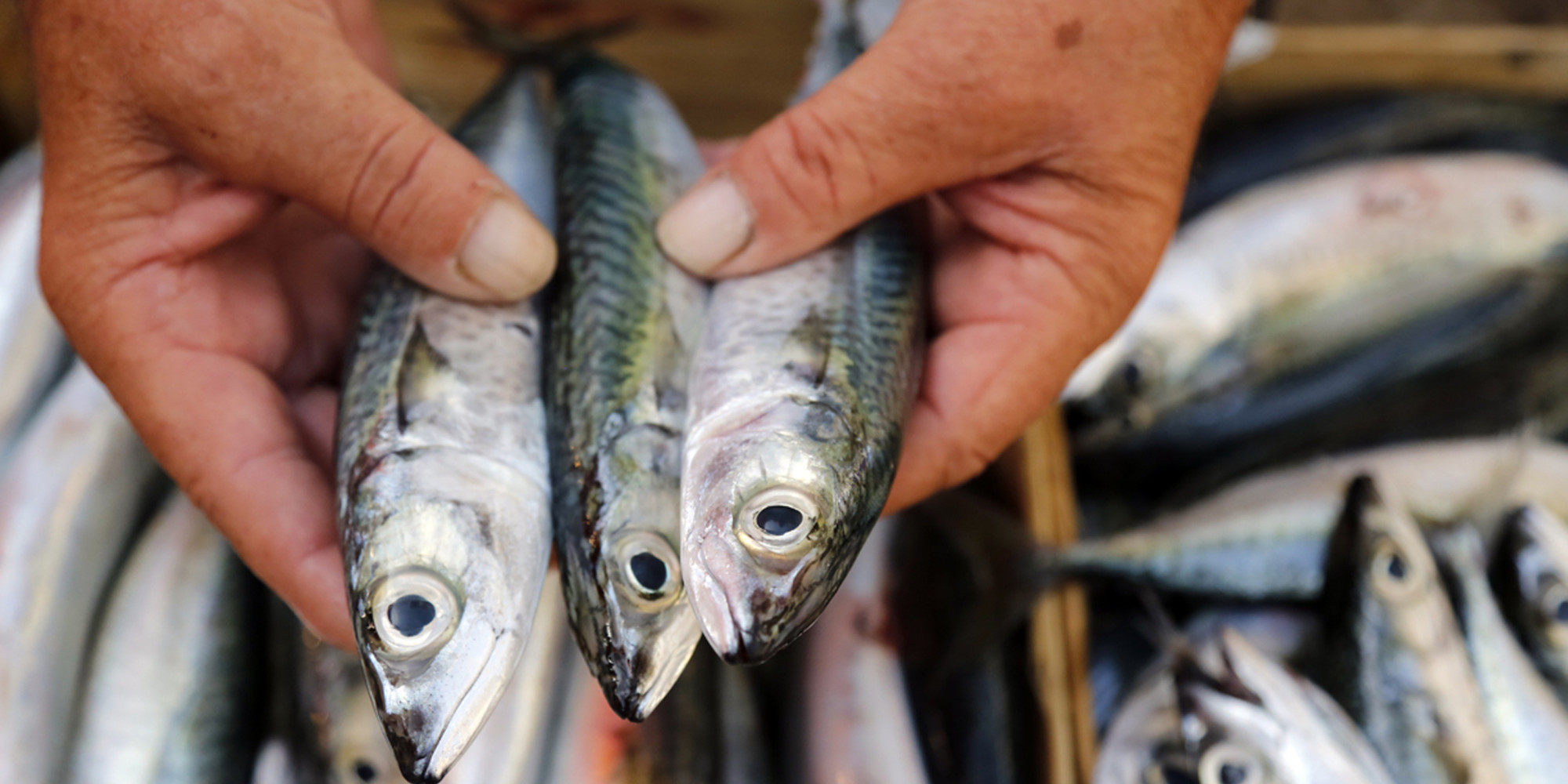 Government Says Eat Fish, Not Too Much, Mostly Low in Mercury | HuffPost