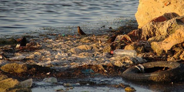 Déchets sur la plage de Sayada en Tunisie