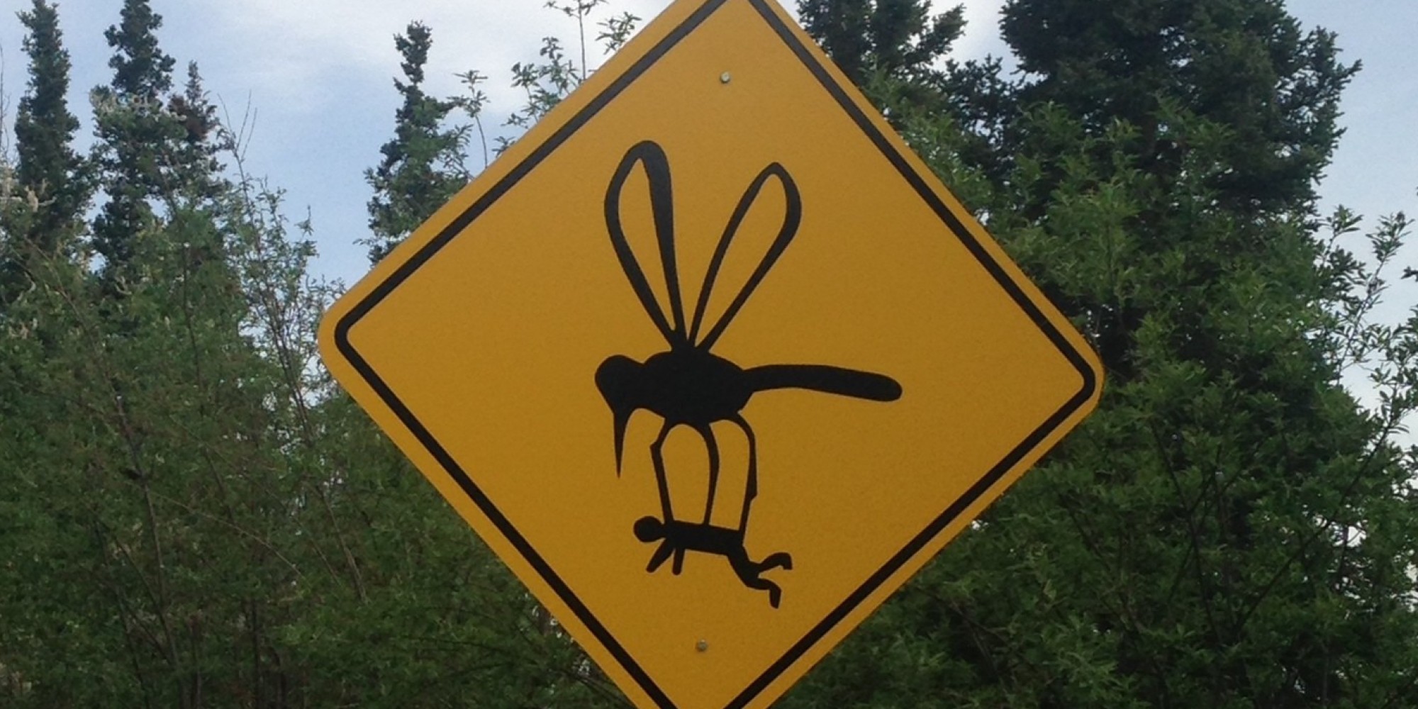 На что способны знаки. Странные знаки. Смешные знаки. Знак осторожно комары. Знак комар уносит человека.