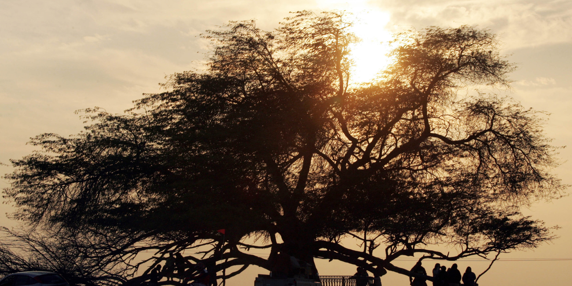 Daily Life In Bahrain: Photos Capture Country's Mesmerizing Desert ...