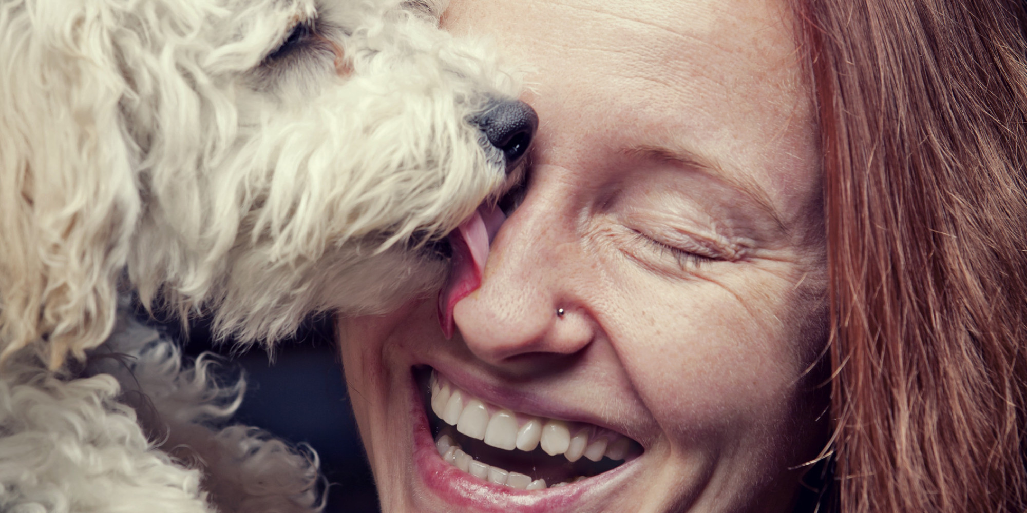 All The Reasons Why Pets Make Us Happier Infographic Huffpost