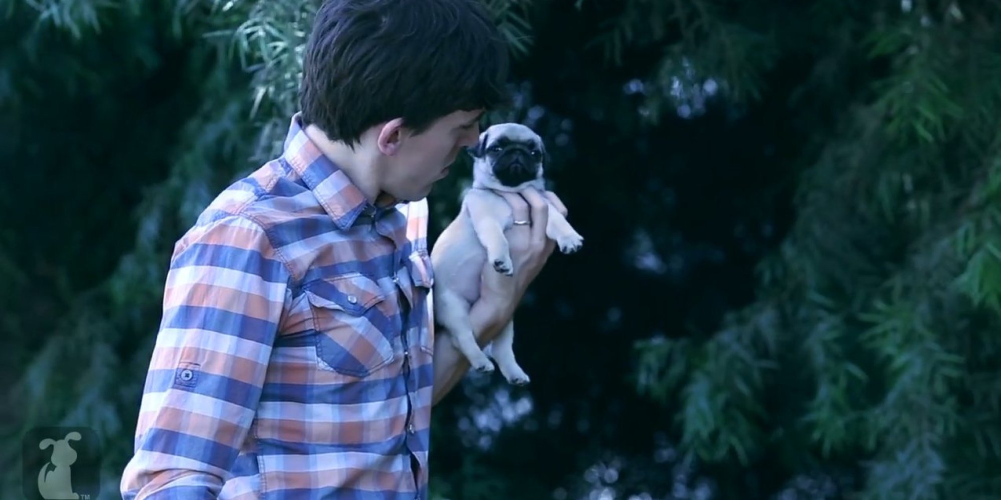 'Planet Of The Pugs' Is A Place We Really, Really Want To Be | HuffPost