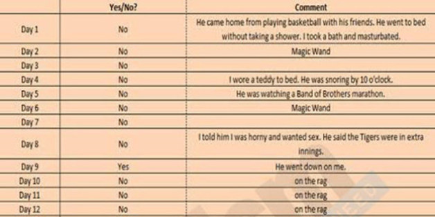 아내가 기록한 섹스일지