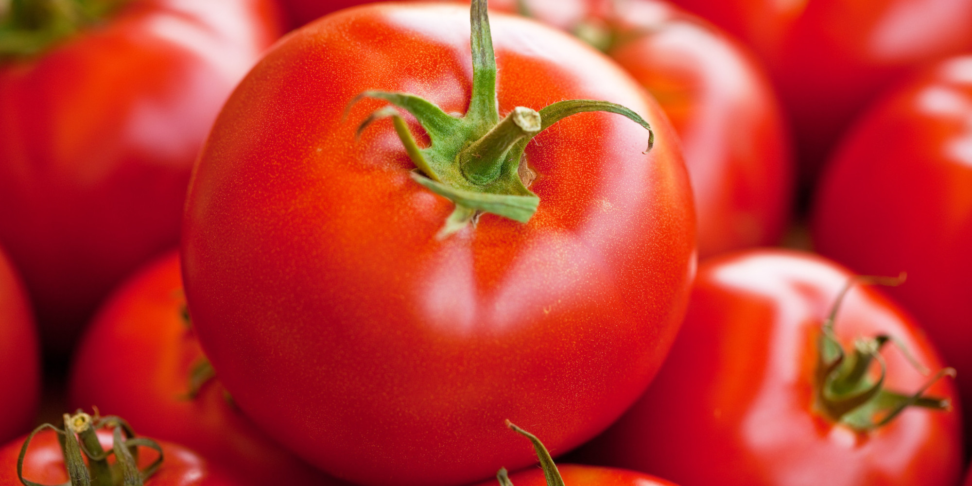 11 Things You Never Knew About Tomatoes HuffPost