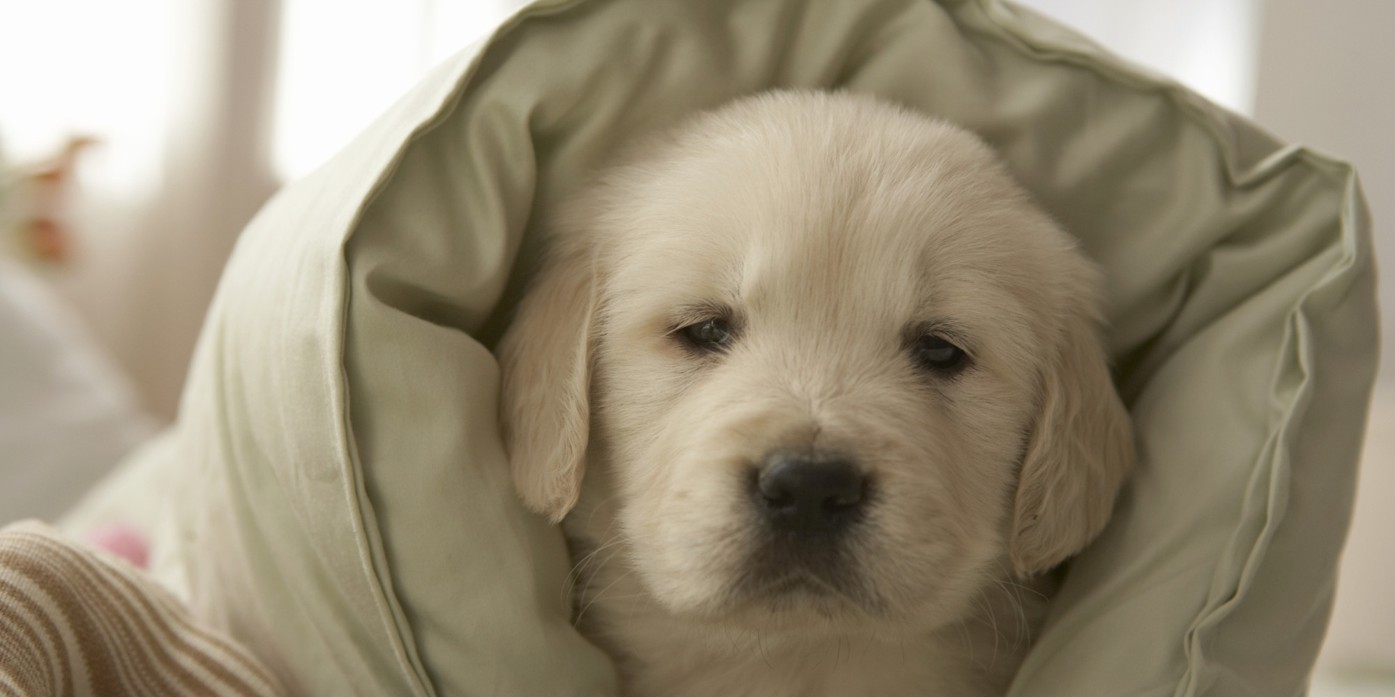 Today Is The Day You Finally Learn How To Stuff A Duvet Cover HuffPost