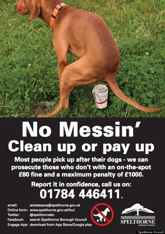 spelthorne-council-s-graphic-dog-poo-poster-goes-viral-as-thousands