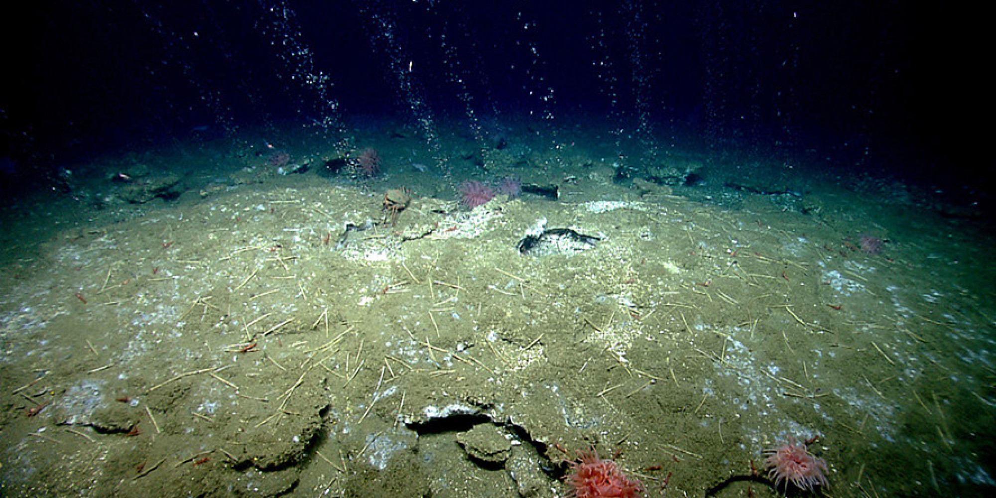 hundreds-of-methane-plumes-seeping-out-of-seafloor-along-east-coast