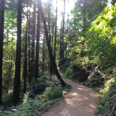 trail