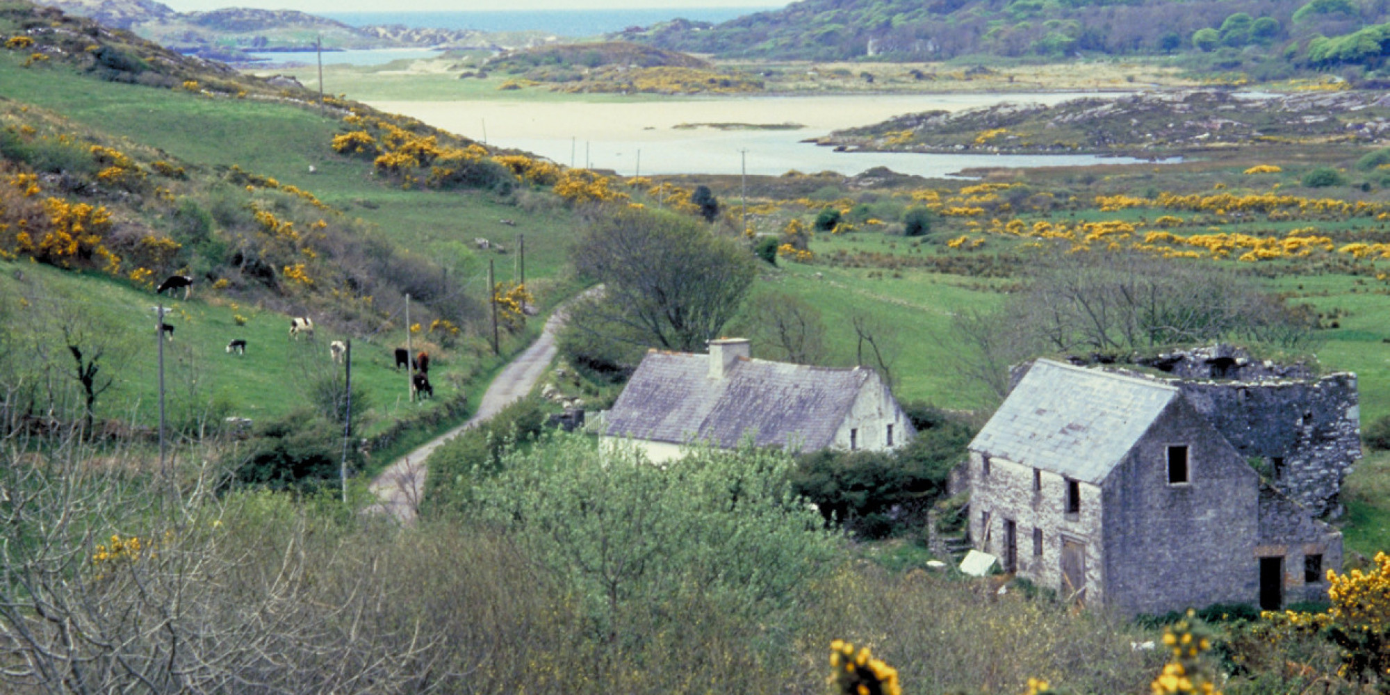 Irish Customs Carried Closely HuffPost