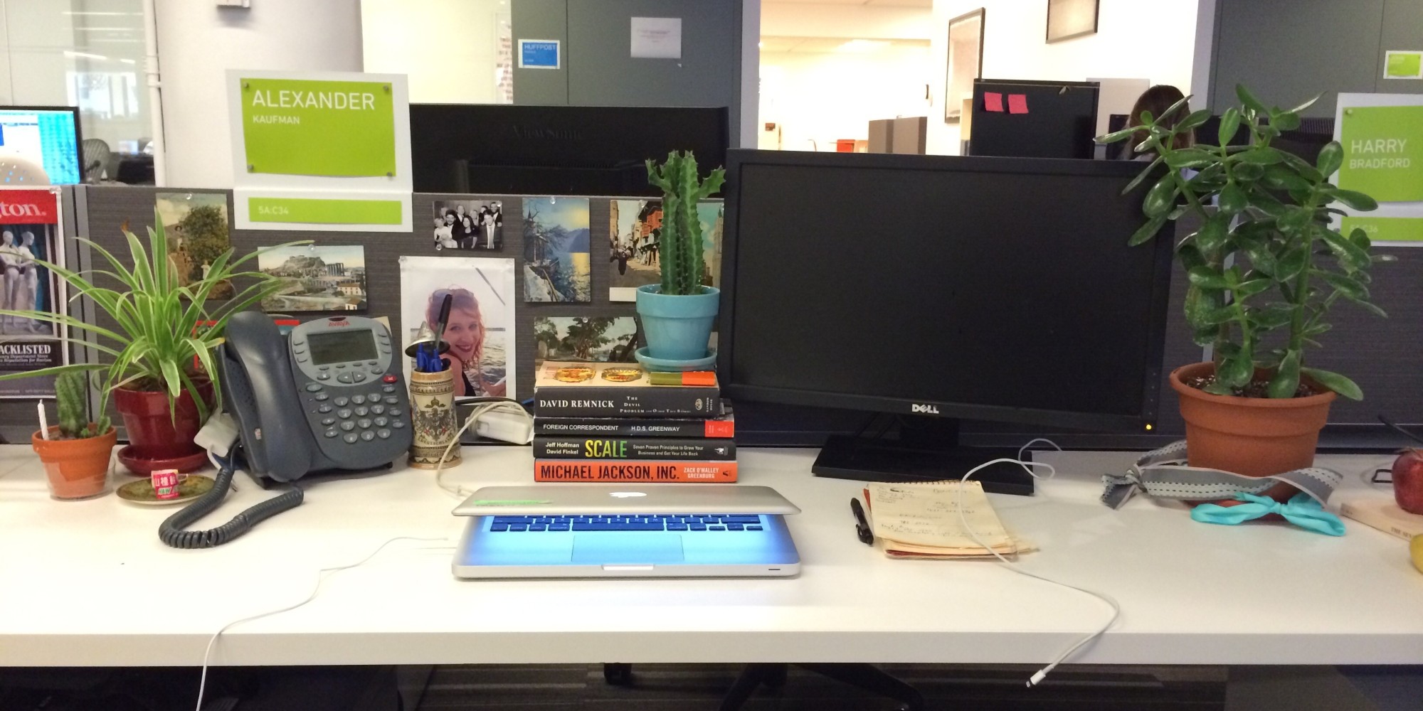 Everyone With A Desk Job Should Have Plants | HuffPost
