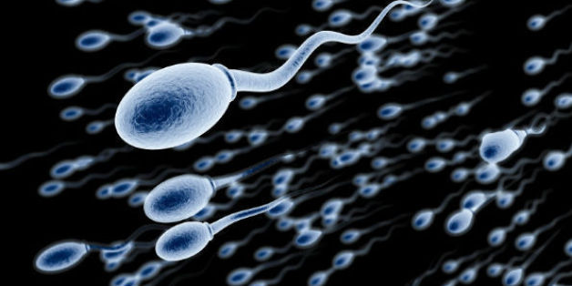 Vasalgel, réversible, sans hormones, bloque les spermatozoïdes