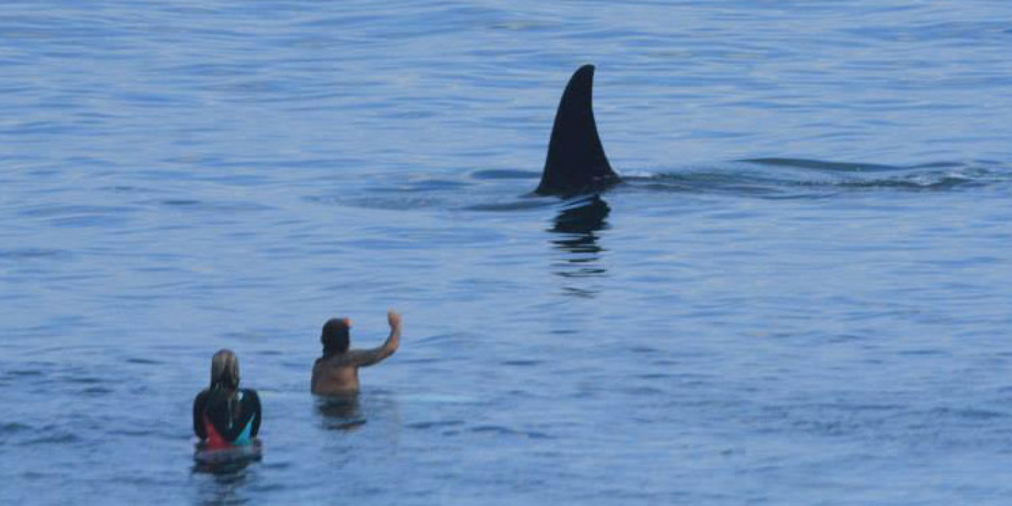 Killer Whale Crashes Surfing Line-Up In Indonesia | HuffPost