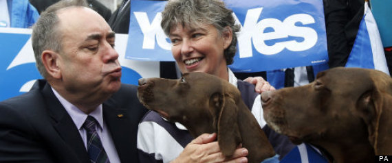 alex salmond funny dogs