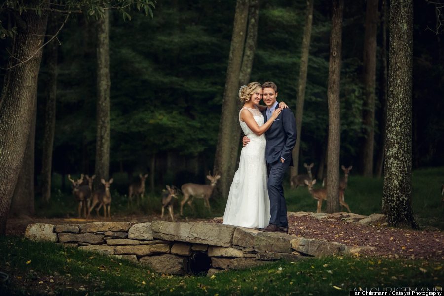 deer wedding photo