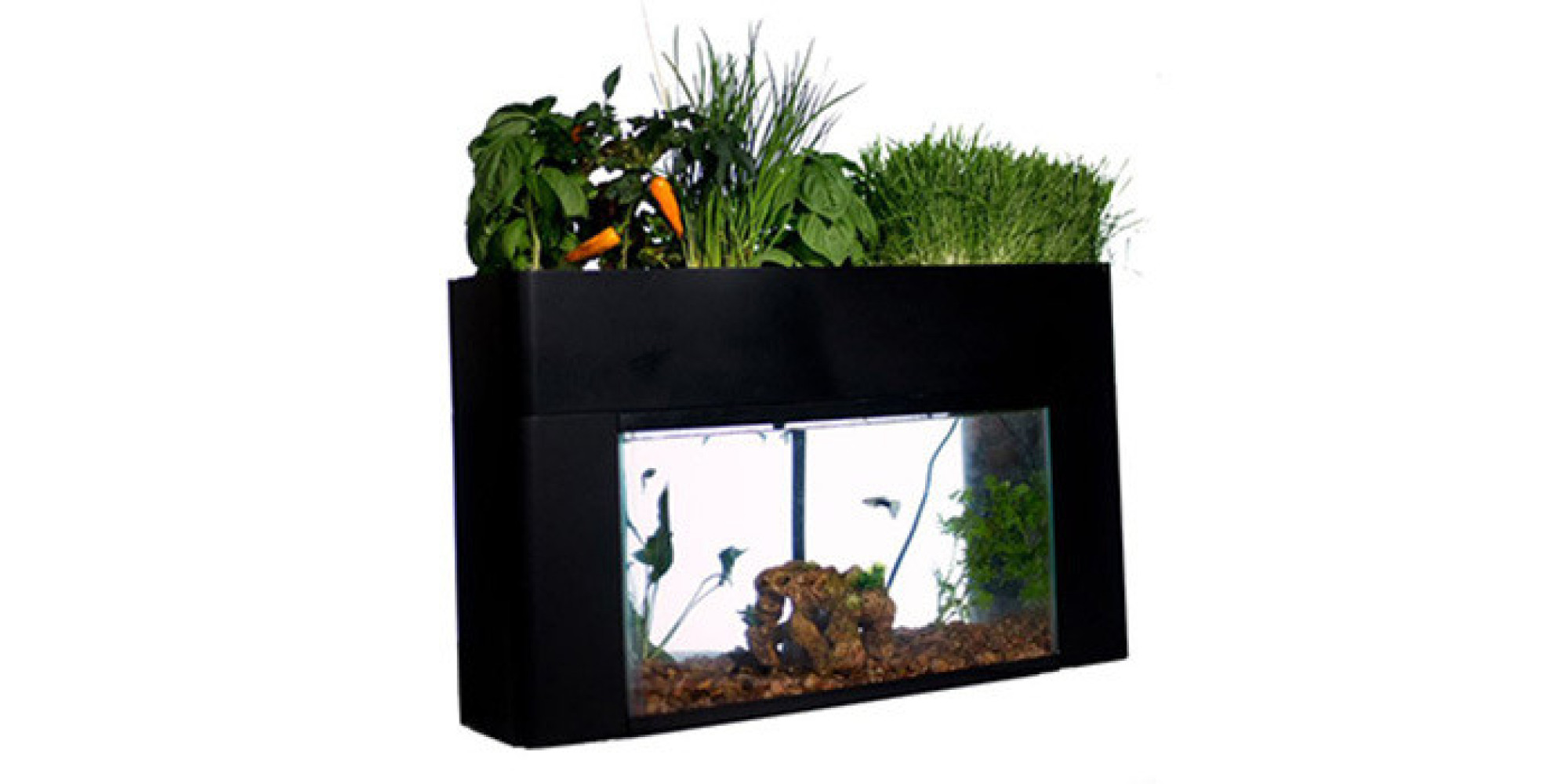 sustainable aquaponics using pre used or recycled