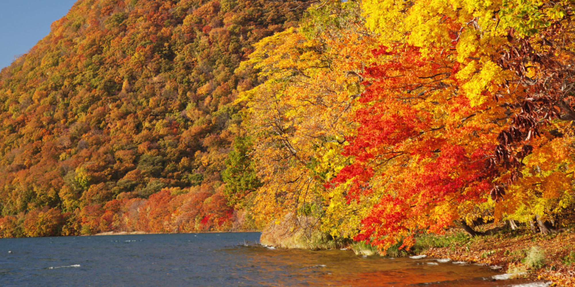 Why This Island In Japan Is The Best Place To See The Leaves Change