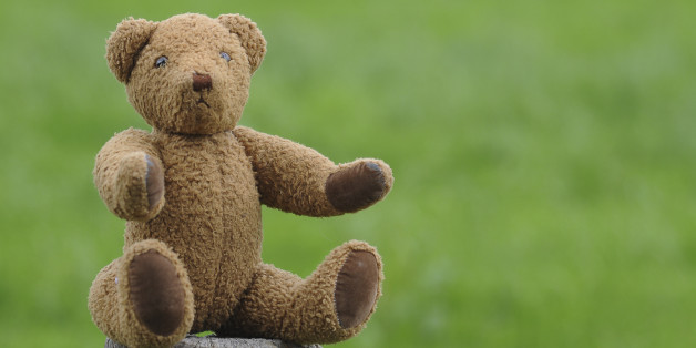 Burglar Nabbed After Having Sex With Teddy Bear And Leaving Dna