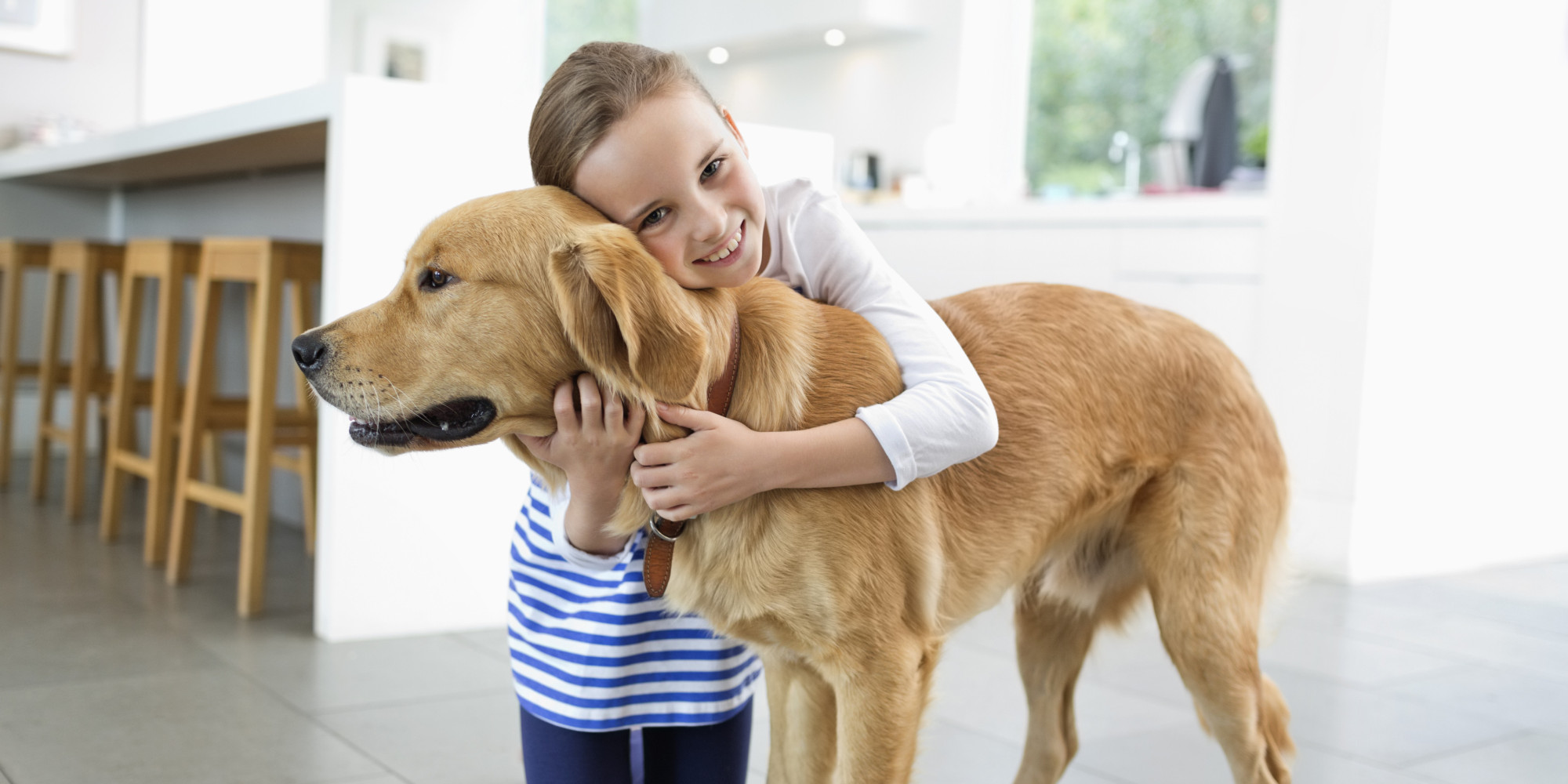 am-i-crazy-to-get-a-dog-for-my-kids-huffpost