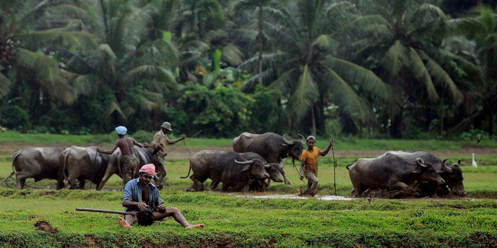 Over 300 Missing After Landslide Buries Village In Sri Lanka, More Than