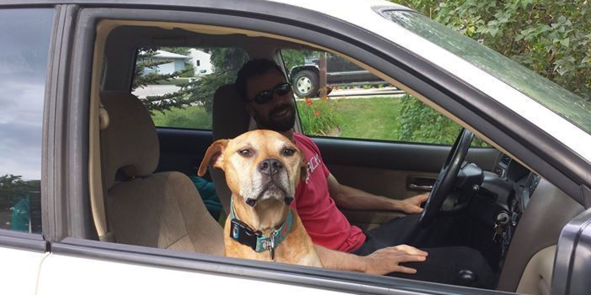 Why It Matters That PetSmart Discriminates Against Pit Bulls HuffPost