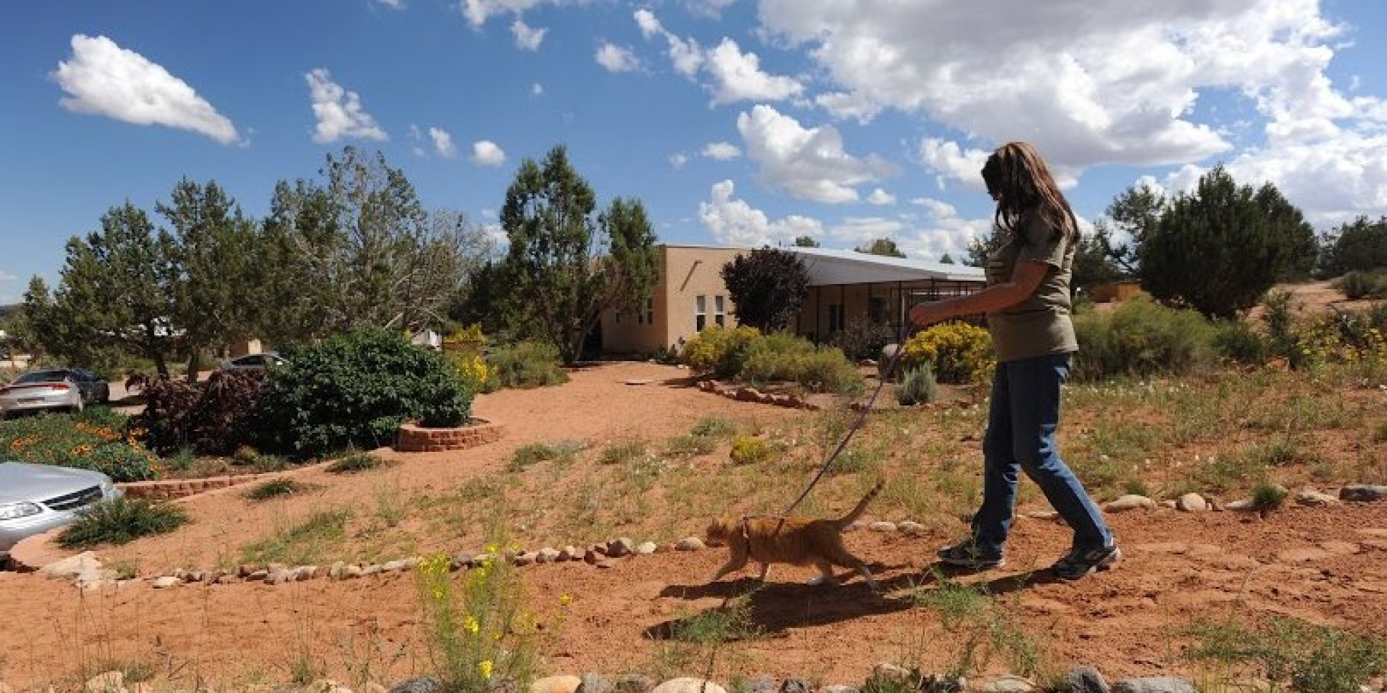 Cat Hiking Is A Real Thing. A Real, Wonderful Thing That You Can