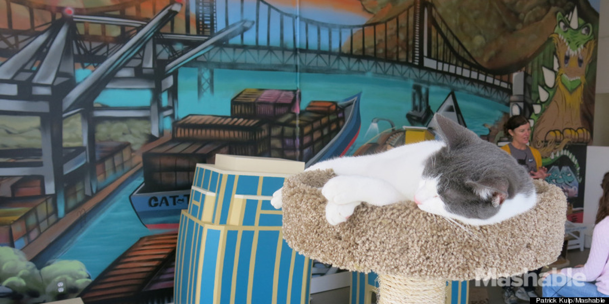 America's First Cat Cafe Is Open. Here's What It's Like Inside. | HuffPost