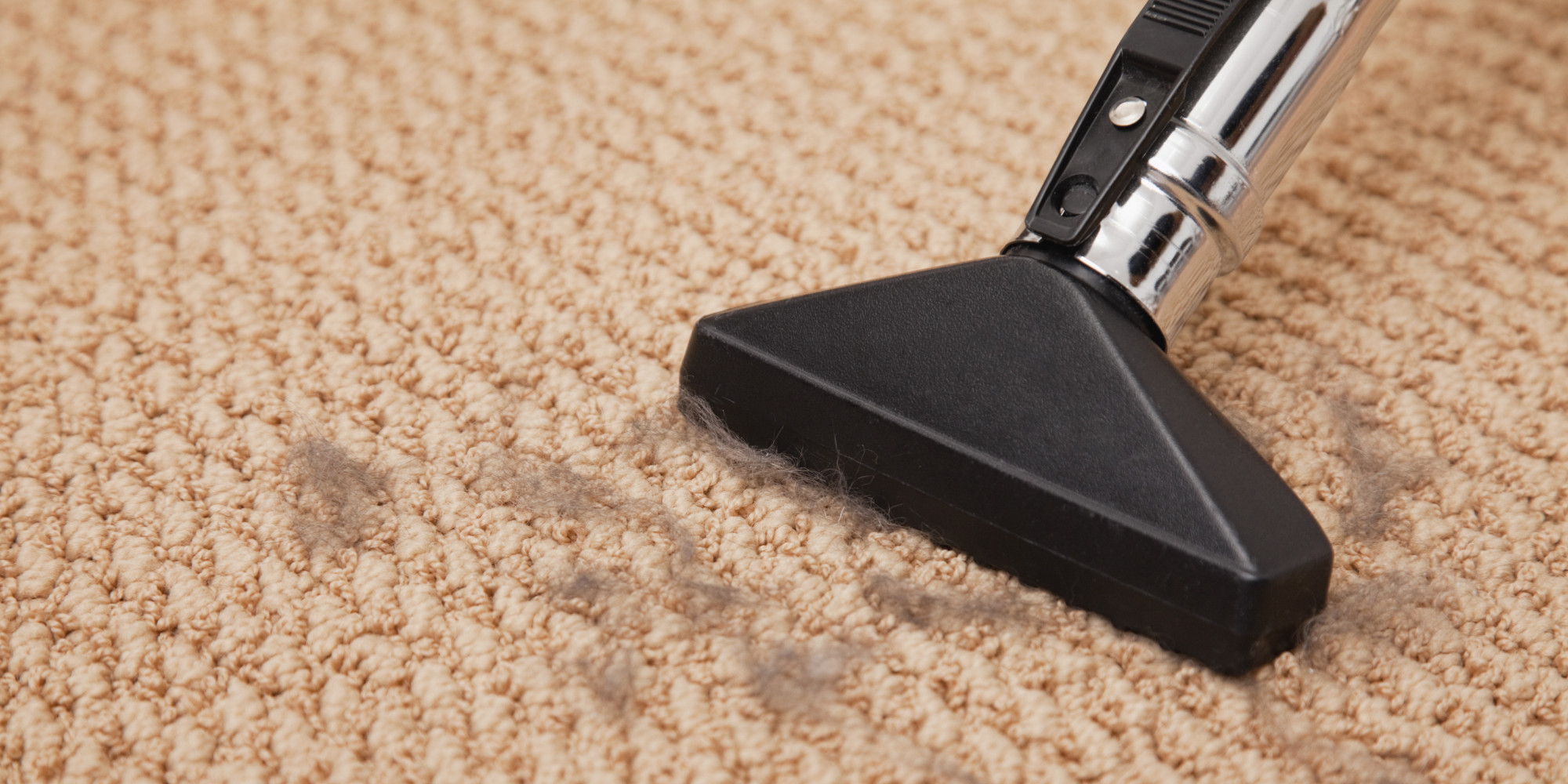 Image result for Carpets Clean