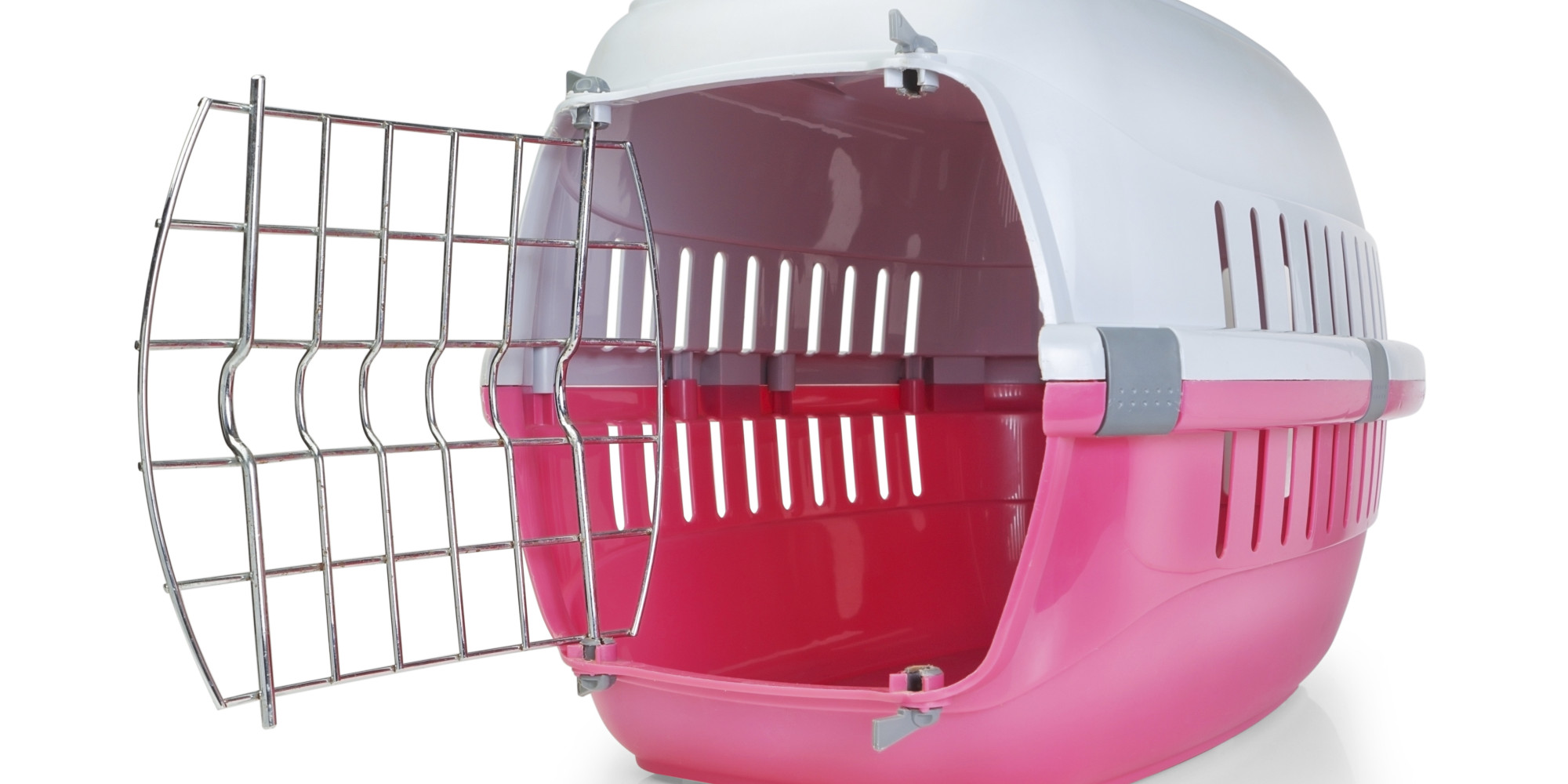 PETA Reportedly Steals and Kills a Family Dog HuffPost