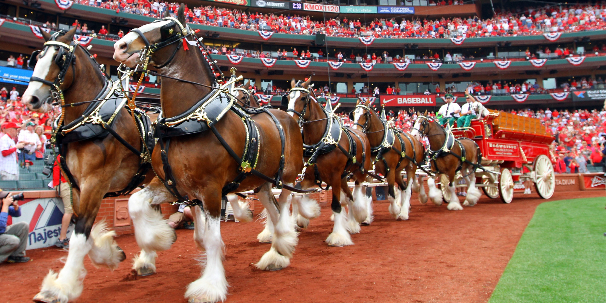 Budweiser Cans Clydesdales For EDM, Zombies And JayZ HuffPost