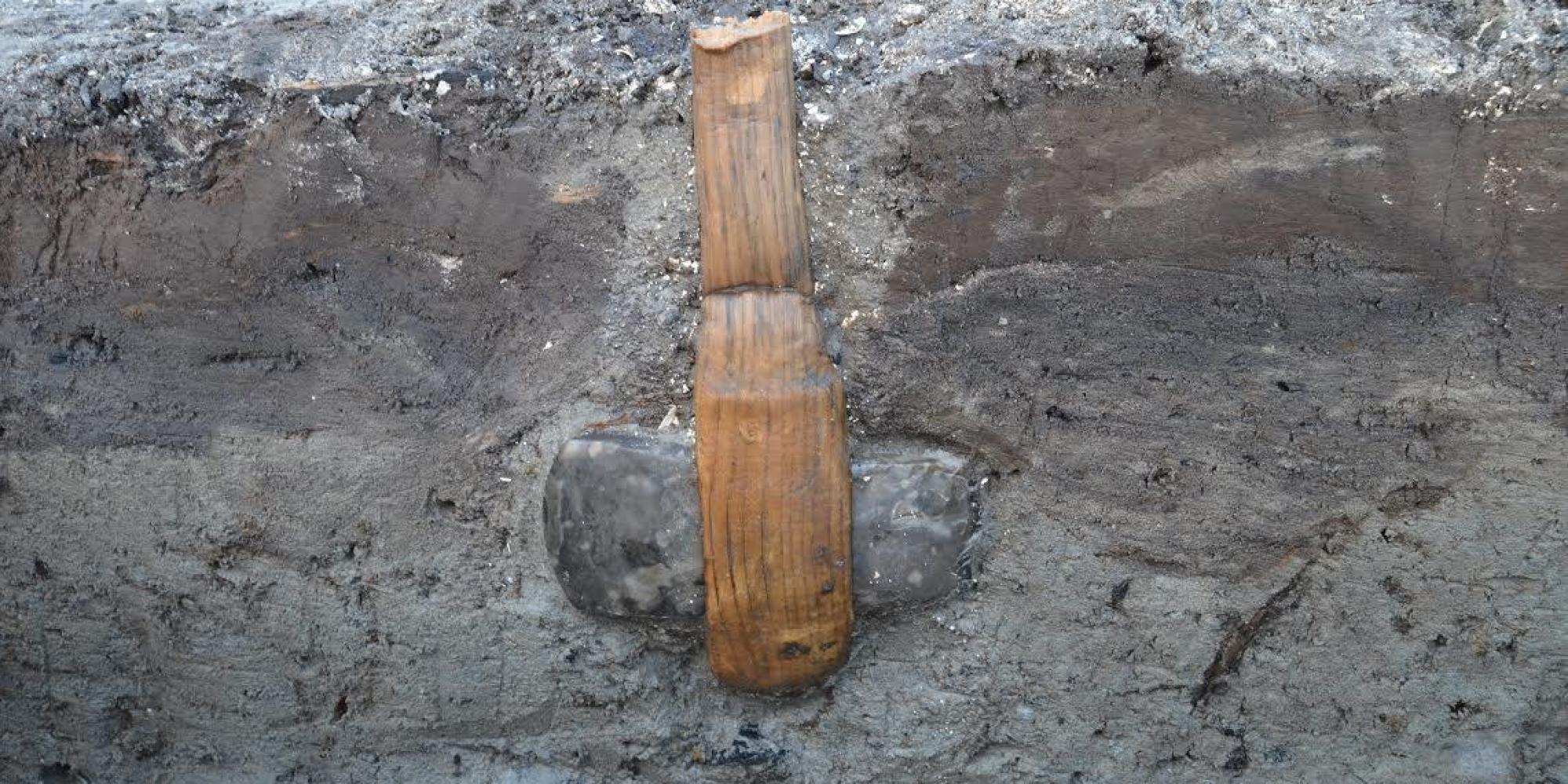 Stone Age Axe Discovered Stuck Into The Ground With Handle Still Attached HuffPost