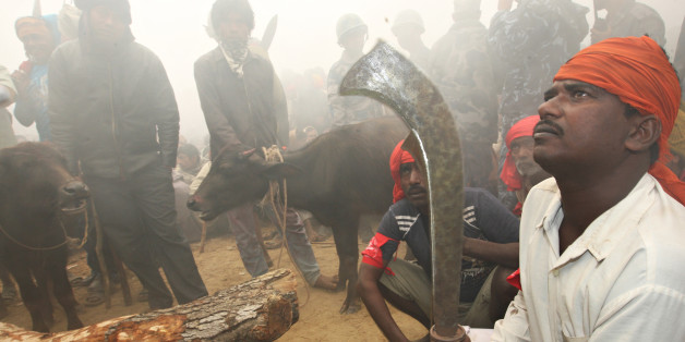 Hindu devotees gather before the start of sacrificial offerings to the Hindu goddess Gadhimai in Bariyapur village, Bara district, some 70 kilometres south of Kathmandu, on November 24, 2009. Up to a million Hindu devotees gathered November 24 in a village in Nepal to witness the slaughter of hundreds of thousands of animals in a mass sacrifice that has drawn widespread criticism. Worshippers travelled long distances, many coming from neighbouring India, to attend the two-day Gadhimai festival, which honours the Hindu goddess of power and takes place once every five years in southern Nepal. AFP PHOTO/Prakash MATHEMA (Photo credit should read PRAKASH MATHEMA/AFP/Getty Images)