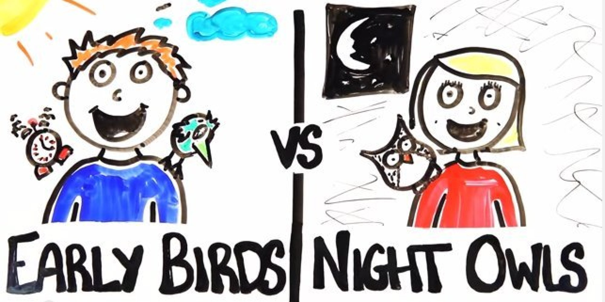 night owl sleep study results