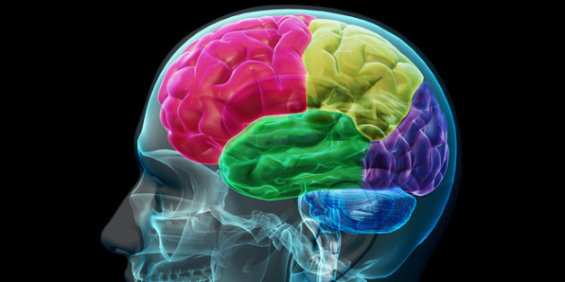 If you use this image, I'd appreciate it if you could credit <a href="http://aboutmodafinil.com" rel="nofollow">aboutmodafinil.com</a> Cheers!