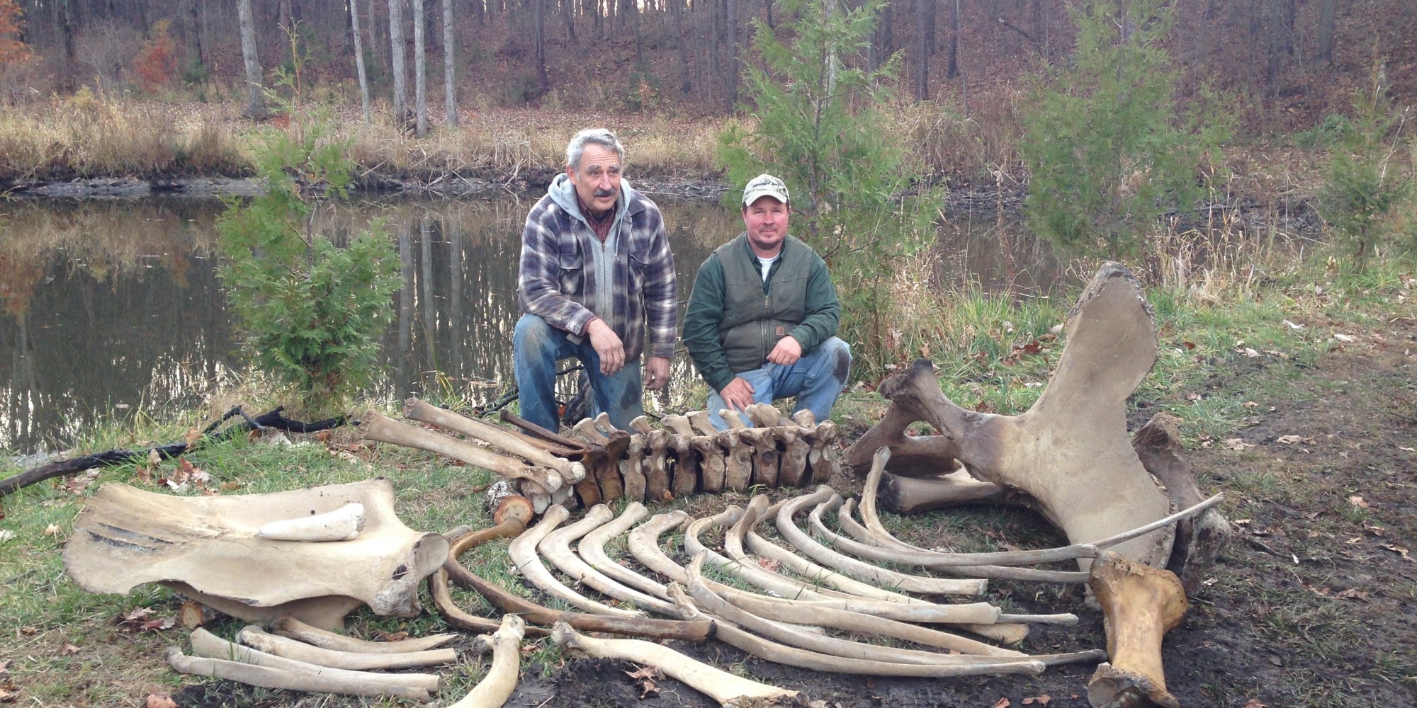 Mastodon Bones Discovered In Michigan Man's Yard HuffPost