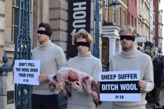 wool protest