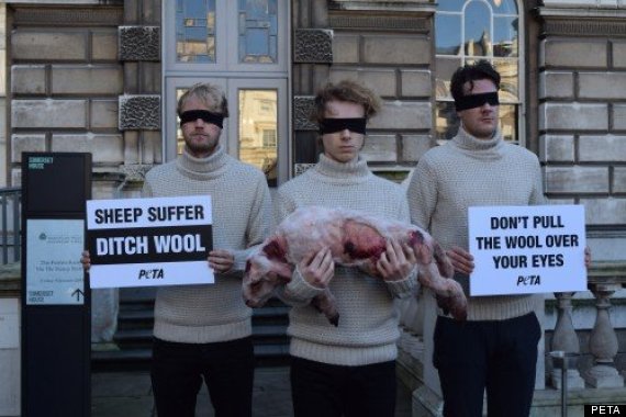 wool protest