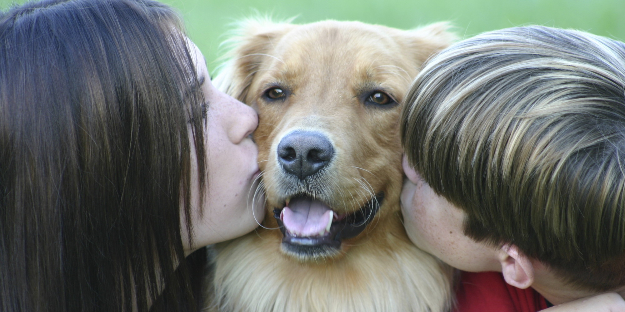 your-pet-says-more-about-your-personality-than-you-might-think-huffpost