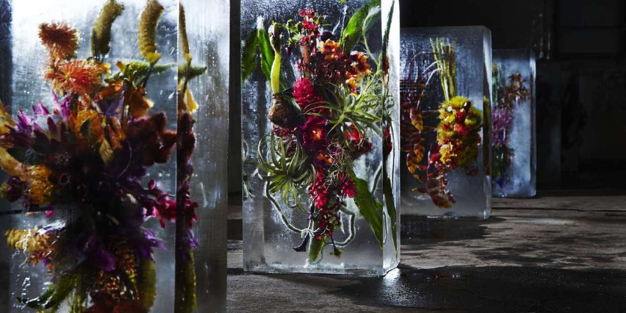 This Is What Happens When You Encase Flowers In Giant Cubes Of Ice
