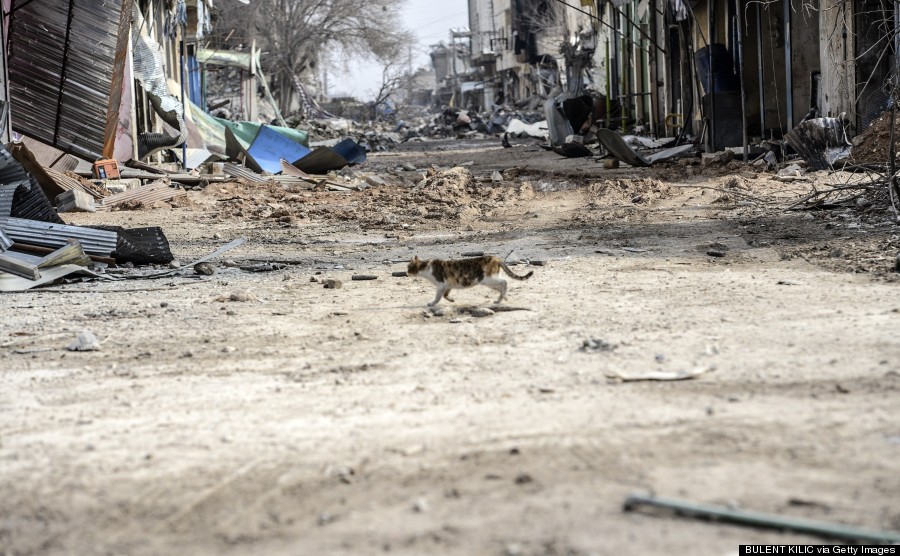 kobani