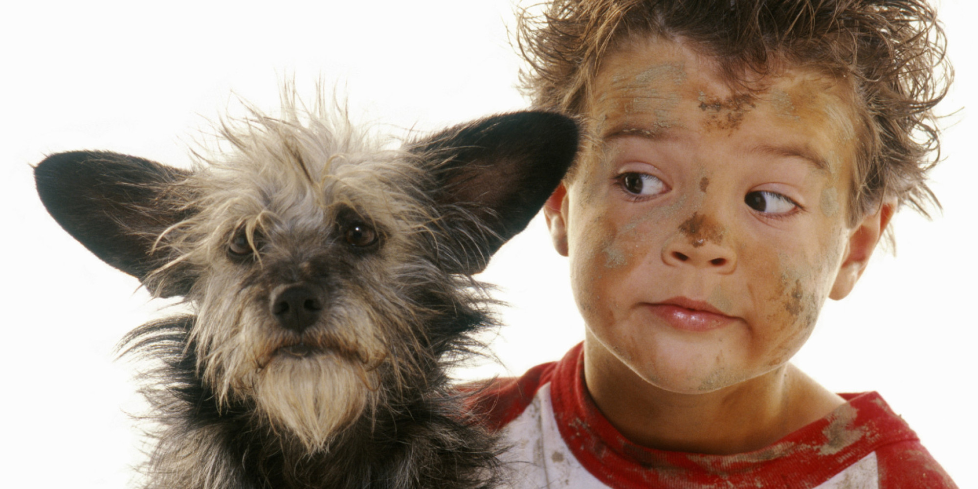 who-made-the-mess-kids-or-dogs-huffpost