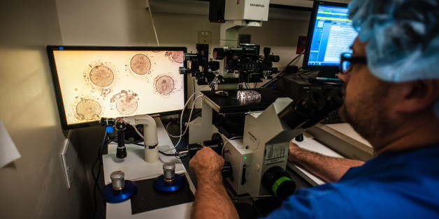 ROCKVILLE, MD -- NOVEMBER 11: Jim Graham, Director of Lab Services, displays a sample of mature eggs on an HD monitor for a photographer. Shady Grove Fertility, long known for IVF, is now offering egg freezing services for women with health issues or who would otherwise want to postpone childbirth to a later date.. (photo by Andre Chung for The Washington Post via Getty Images)