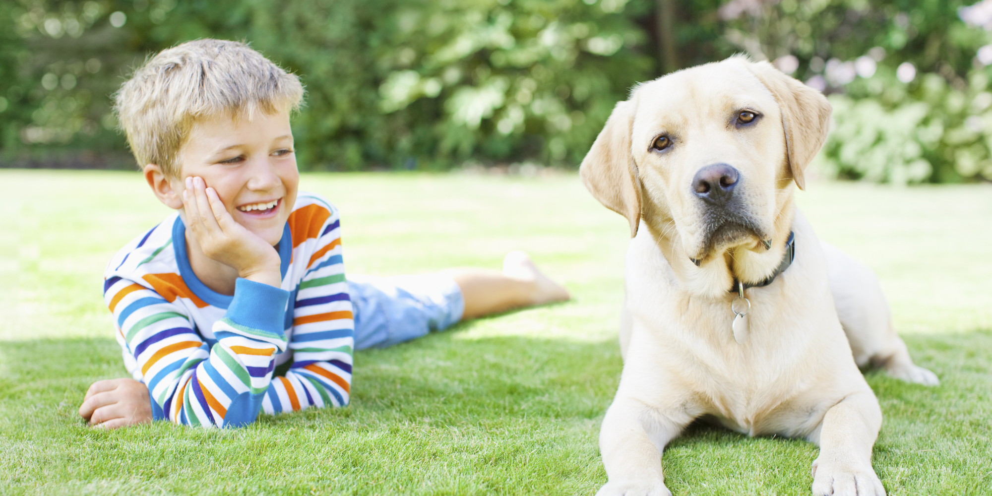 Want to Improve Your Relationship? Get Kids and a Pet! | HuffPost