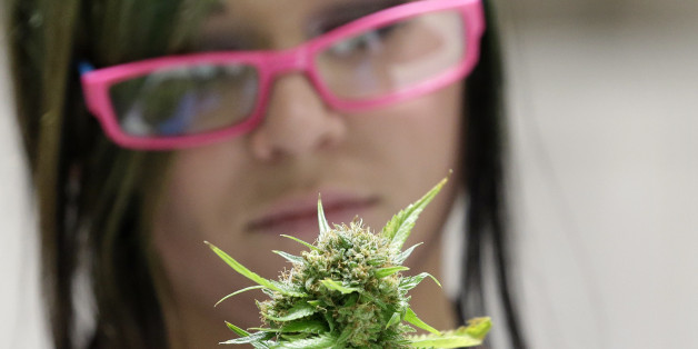 In this photo taken Tuesday, Jan. 13, 2015, Ashley Green trims a marijuana flower at the Pioneer Production and Processing marijuana growing facility in Arlington, Wash. Washingtonâs second-in-the-nation legal marijuana market opened last summer to a dearth of weed, with some stores periodically closed because they didnât have pot to sell and prices were through the roof. Six months later, the equation has flipped, bringing serious growing pains to the new industry. Prices are starting