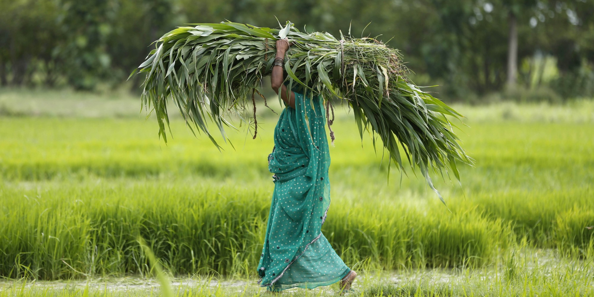 About Half The World's Farmers Are Women, But Many Don't Have Land