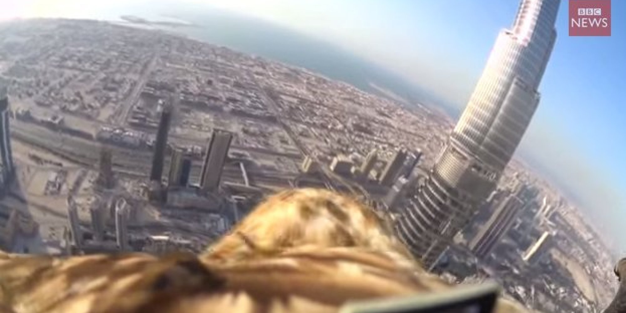 Eagle Dives From The World's Tallest Building, Captures Stunning Bird's ...