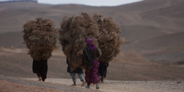 "Dos de femme, dos de mulet" de Hicham Houdaïfa: Une plongée dans le Maroc des femmes oubliées (INTERVIEW)