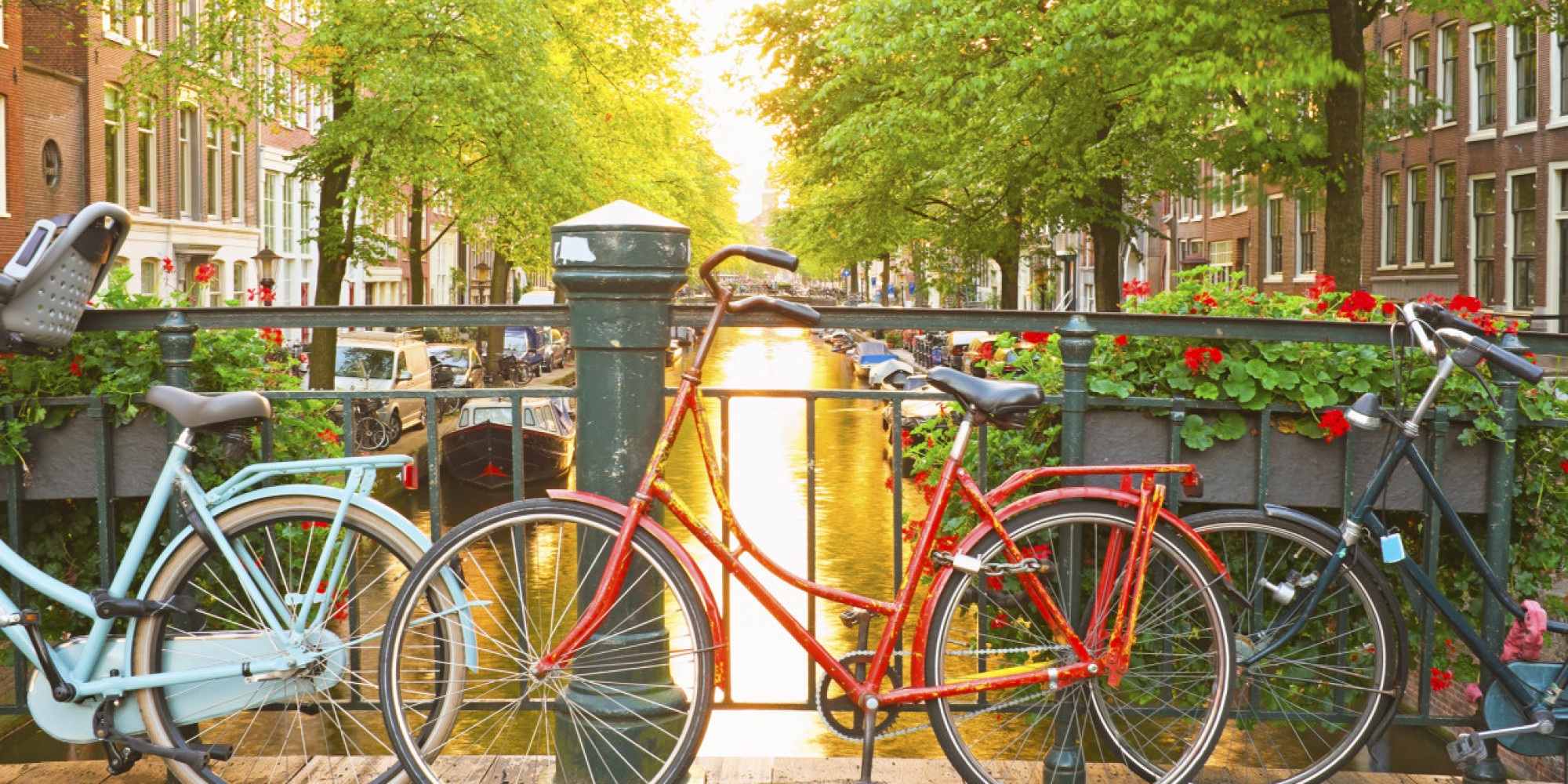 8-of-the-most-amazing-markets-to-visit-in-amsterdam