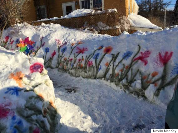 A Snowstorm Cant Stop Halifaxs Flowers From Blooming Huffpost Canada