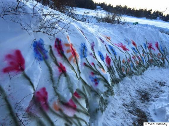 A Snowstorm Cant Stop Halifaxs Flowers From Blooming Huffpost Canada